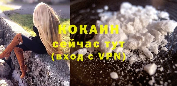 индика Козловка