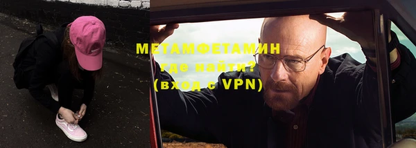 индика Козловка