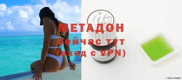 индика Козловка