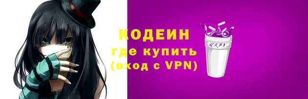 соль ск Козельск