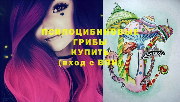 соль ск Козельск