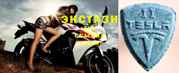 индика Козловка