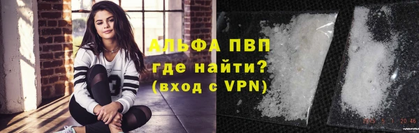 индика Козловка