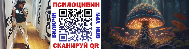 Галлюциногенные грибы прущие грибы  наркота  Стародуб 
